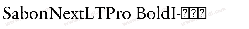 SabonNextLTPro BoldI字体转换
